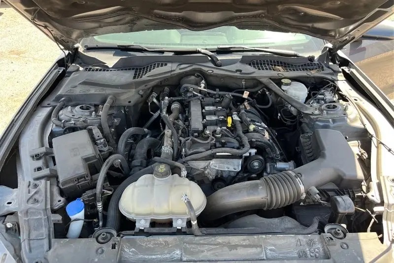 
								2023 Ford Mustang EcoBoost Premium Convertible full									